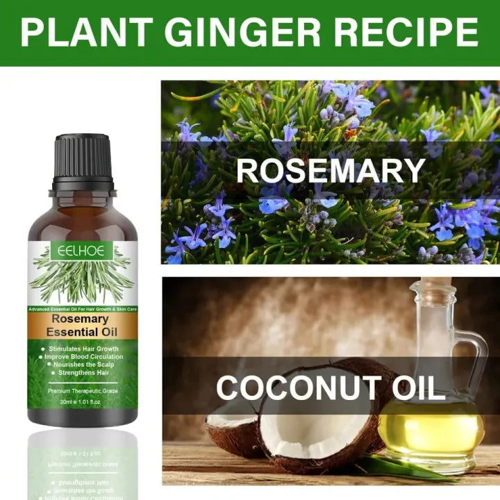 Rosemary Hair Growth Essential Oil – Anti Hair Fall Treatment, Scalp Nourishing & Thickening Oil for Strong, Healthy Hair (UAE)