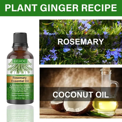 Rosemary Hair Growth Essential Oil – Anti Hair Fall Treatment, Scalp Nourishing & Thickening Oil for Strong, Healthy Hair (UAE)