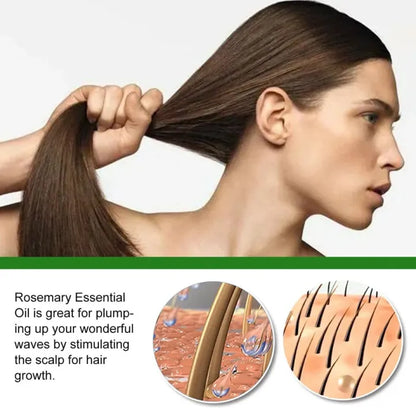 Rosemary Hair Growth Essential Oil – Anti Hair Fall Treatment, Scalp Nourishing & Thickening Oil for Strong, Healthy Hair (UAE)